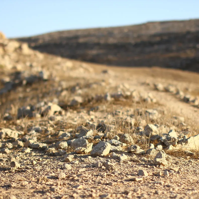 נוף מדברי — תיירות באזור מצפה רמון