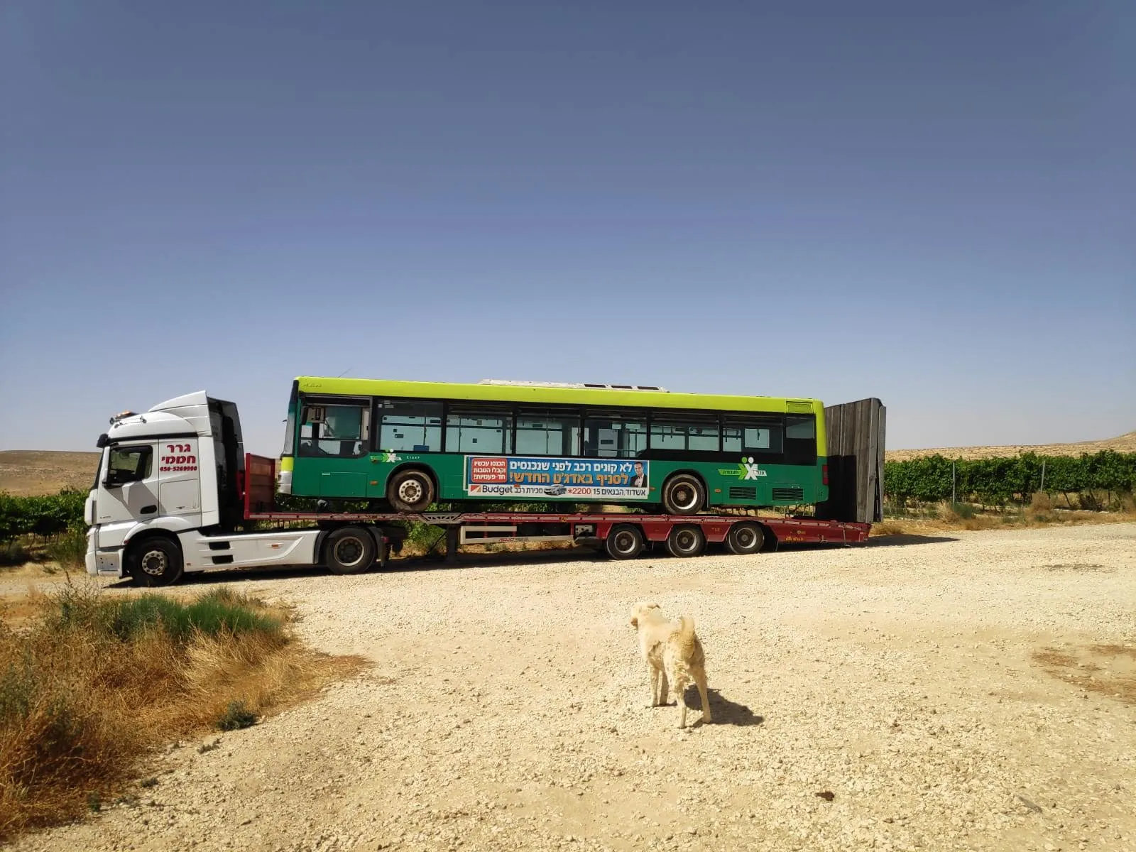 האוטובוס מגיע לכרם — יום ראשון
